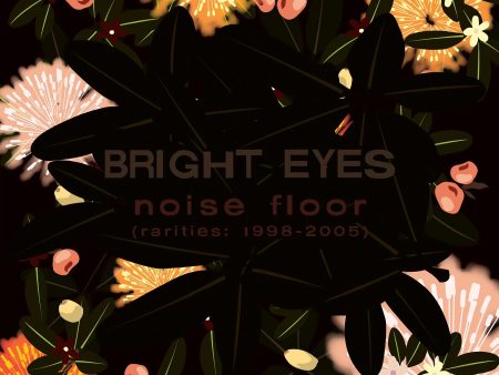 Bright Eyes - Noise Floor: Rarities 1998-2005 - CD For Cheap