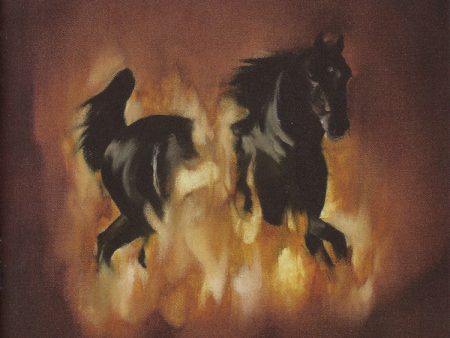 The Besnard Lakes – The Besnard Lakes Are The Dark Horse - USED CD Cheap