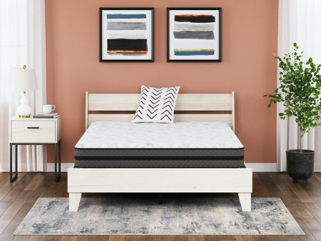 10 Inch Pocketed Hybrid White Queen Mattress Online now